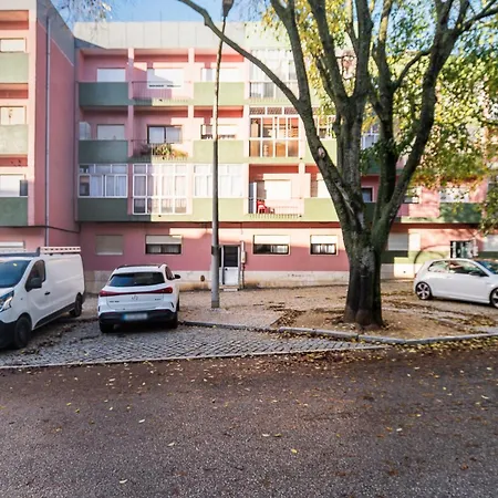 Apartment M J House